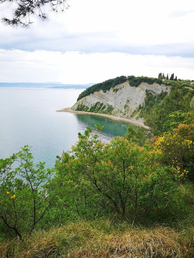 Apartments Zimerman Порторож Екстериор снимка